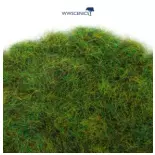 Fibres herbe d'été - WWScenics WSG6-017 - 6 mm - 500 mL