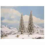 Pack 2 Noch snow-covered fir trees 21966 - HO 1/87 - height 180 and 200 mm