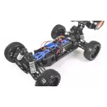 Buggy électrique - Pirate Shooter Brushed RTR - T2M T4931BU - 1/10