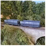 Set di 2 vagoni minerari DM LS Models 31103 - HO : 1/87 - SNCF - EP III