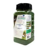 Fibres herbe d'été - WWScenics WSG2-017 - 2 mm - 500 mL