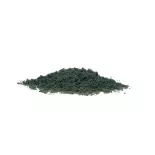 Flocage vert foncé - Woodland Scenics OT1365 - Toutes échelles - 945 mL