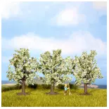 Pack of 3 white flowering trees Noch 25511 - All scales