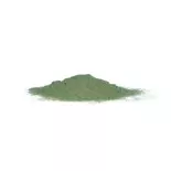 Flocage herbe vert moyen - Woodland Scenics FL635 - 945 mL