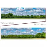 Hintergrund: Wald unter blauem Himmel