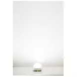 LED lighting base, cool white