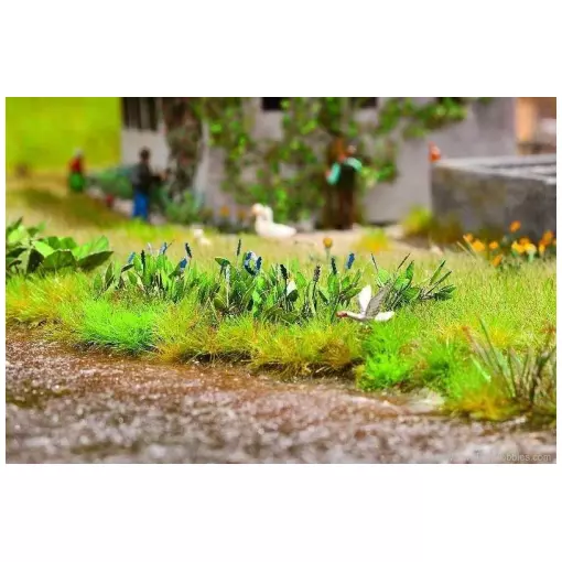 Lot de 16 plants de fleur Pontédérie cordée - LaserCut - NOCH 14142 - HO 1/87
