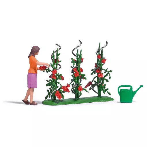 Feet of tomatoes