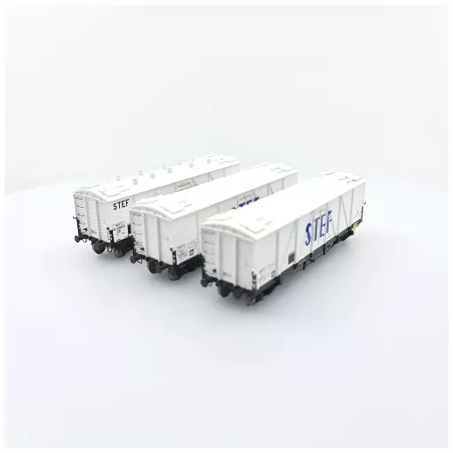 Set of 3 TP FRIGO STEF REE MODELS WB586 SNCF - HO 1/87 - EP III