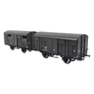 Set 2 Wagons ex-couverts primeurs 20T PLM REE Modèles WB737 - HO 1/87 - SNCF - EP III