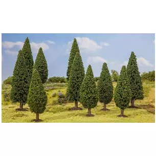 Batch of 10 trees from 90 to 120 mm