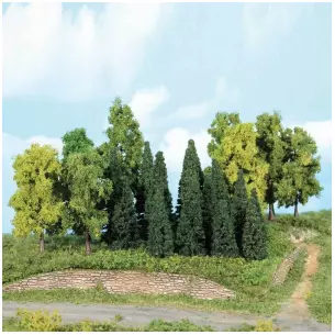 Forest of 22 firs and trees from 5 to 12 cm