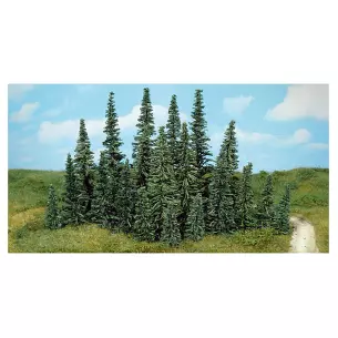 Batch of 50 fir trees 5-12cm