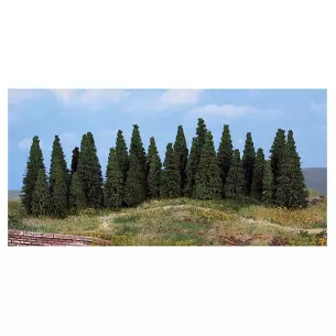 Lot de 30 sapins 4-7cm