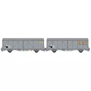 Set of 2 EVS high roof cars delivered in grey
