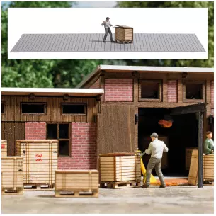 AS CAISSE FORCEE
