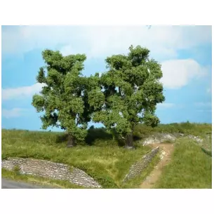Lot de 2 arbres feuillus de 14 cm