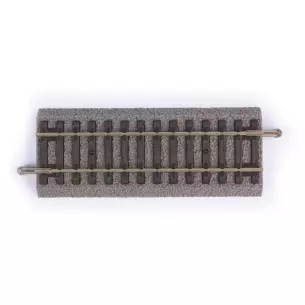 Rail droit avec ballast voie A de dimensions 107 mm