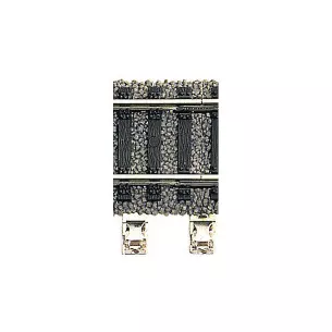 Two-pole terminal block
