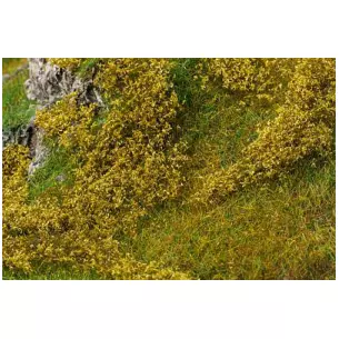 Light green field foliage
