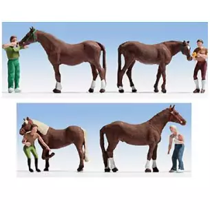 Soins des chevaux/ 4 chevaux+ 4 personnages
