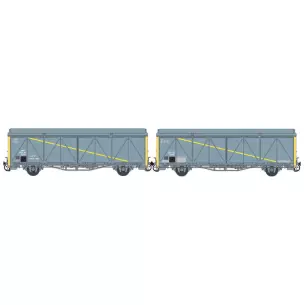 Set of 2 EVS cars delivered in grey/yellow with reinforced walls and high roof "YELLOW BUL".