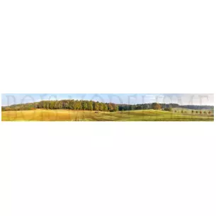 Fond de décor : forêt en automne