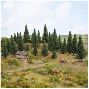 Ensemble de 10 sapins hauteurs 5 - 14 cm