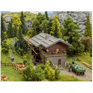 Forge alpine