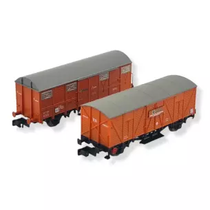 Set 2 wagons couverts J-300.000 et J2 ARNOLD HN6555 - RENFE - N 1/160 - EP IV