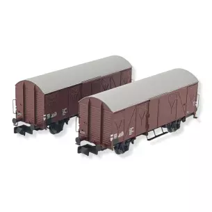 Coffret 2 wagons