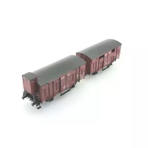 Set of 2 OCEM 19 COVERED Wagons, lever brake, spoked and solid wheels, open flaps, closed flaps and gatehouse, PLM