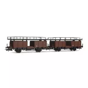 Set de 2 wagons pour carrières type Laes 541