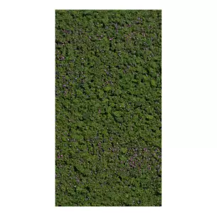 Flocage myrtilles forestières Busch 7348 - HO - 150 x 80 mm