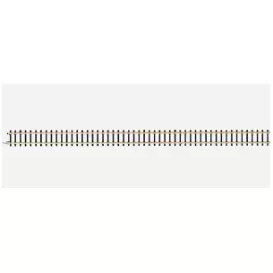 Rail droit 220mm