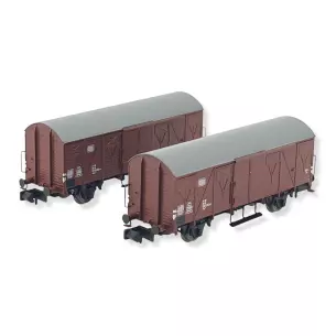 Coffret 2 wagons