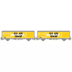 Set of 2 EVS cars delivered in yellow/grey with flat walls and low roof "METROPOL
