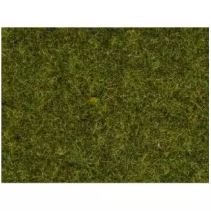 Meadow grass of 2.5mm