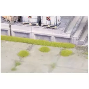 Touffes et bandes d"herbes vert clair