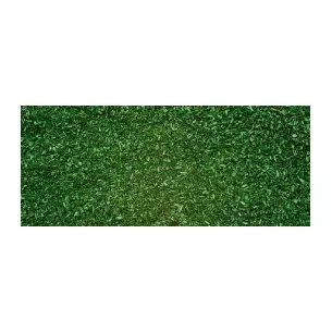 Herbe de sol de foret 42 g