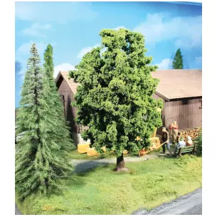 Arbre "Hêtre" de 39 cm de haut