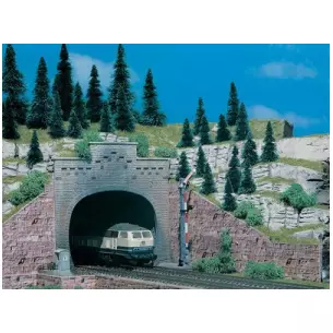 Portail de tunnel 2 voies