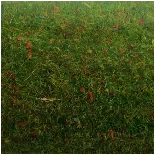 Tapis d'herbe "Gazon fleuri" 1200x600 NOCH 00270 - Toutes échelles