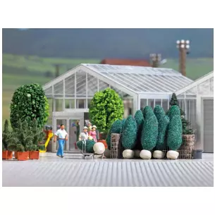 Eight Trees with roots