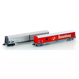 Set of 2 sliding wall wagons Hobbytrains 23470 - N : 1/160 - SNCF - EP IV / V