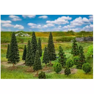 Set of 25 shafts mixed forests from 35 to 90 mm