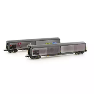 Set of 2 sliding wall cars Hobbytrain H23471 - SBB - N : 1/160 - EP V
