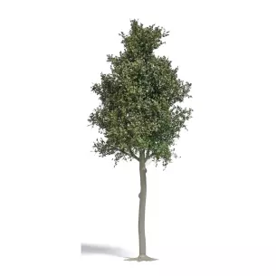 Arbre Hêtre sylvestre Busch 3798 - HO 1/87 - 170 mm