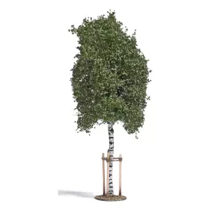 Jeune bouleau avec support - Busch 10625 - O 1/43