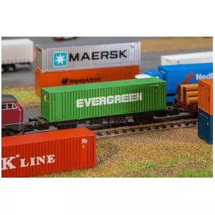 40’ Hi-Cube Container EVERGREEN